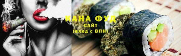 молекула духа Богородицк