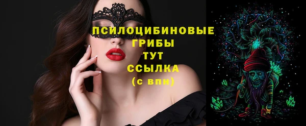 амф Медногорск