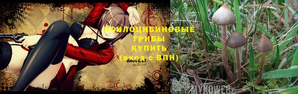 кокаин VHQ Медвежьегорск