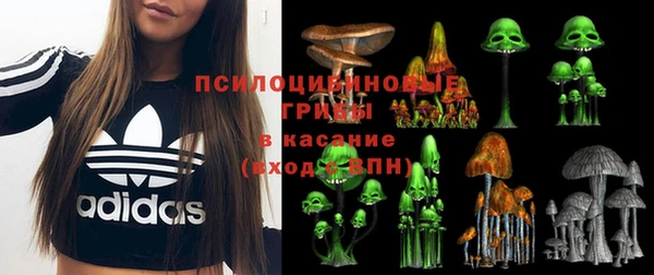 амф Медногорск
